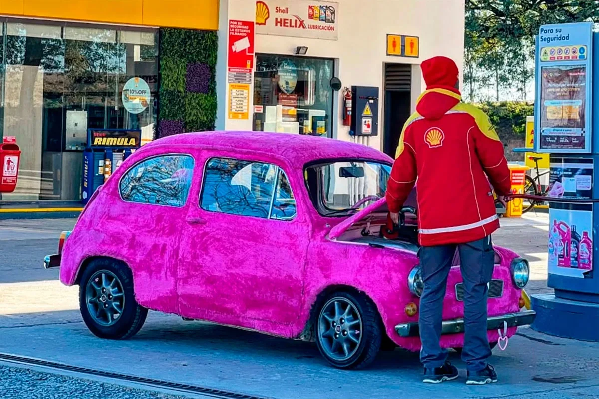 Una joven cubrió de tela de peluche rosa su Fiat 600 y causó furor en Entre Ríos