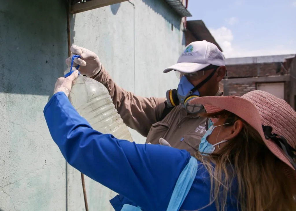 Dengue en Catamarca: Control Focal Semanal