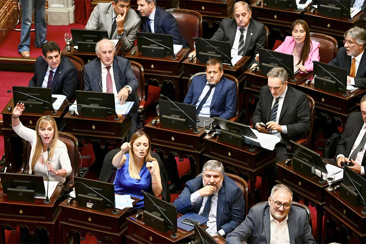 Hoy martes, el interbloque peronista del Senado buscará firmar dictámenes de universidades y Garrahan