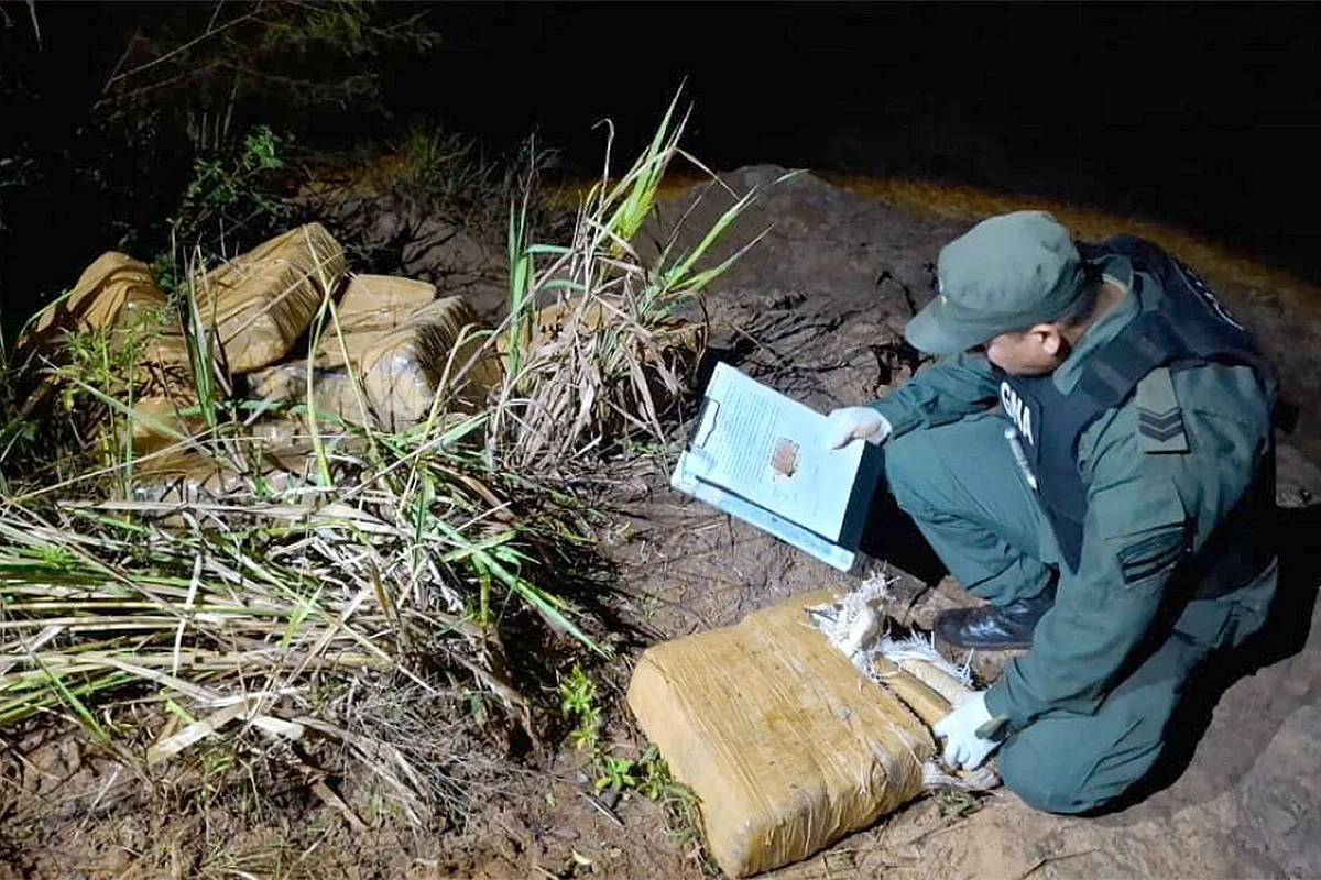 Evitaron la descarga de 300 kilos de marihuana en la costa del río Paraná