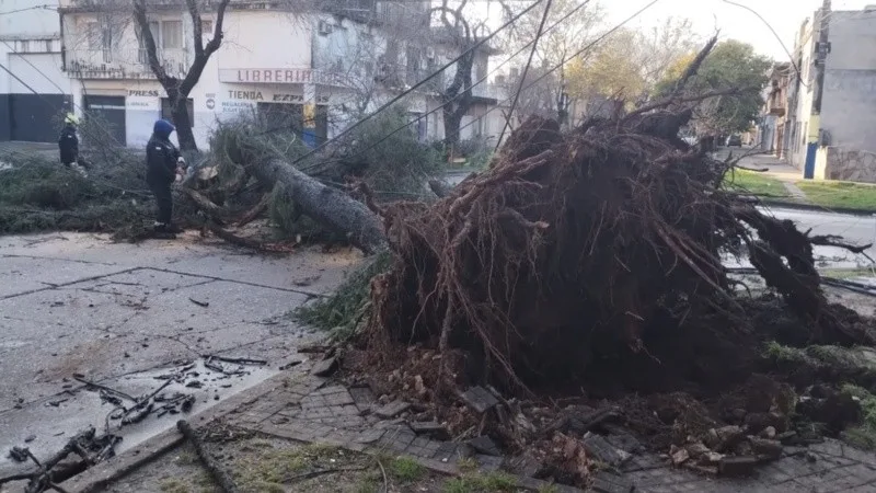 Más de 40 árboles caídos en Rosario por la tormenta