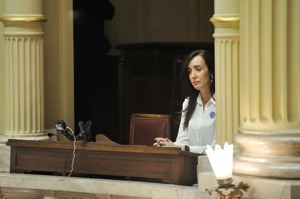 El Senado sancionará hoy jueves la emergencia pediátrica y el refuerzo de los presupuestos universitarios