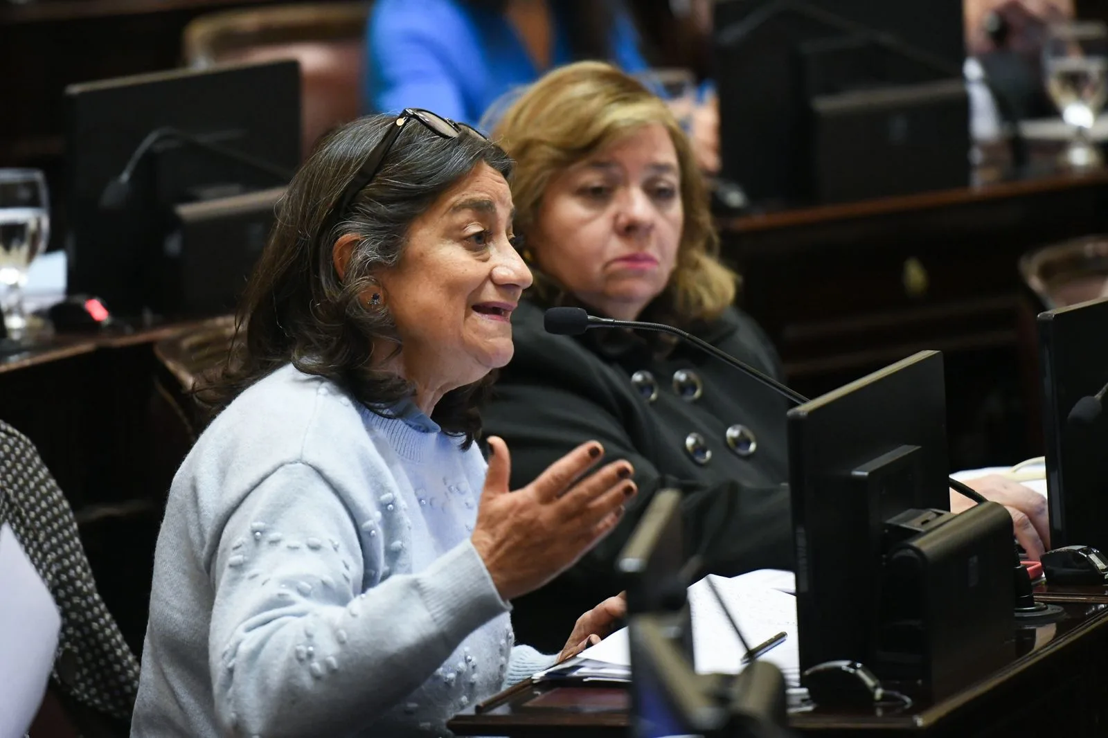 La senadora catamarqueña Corpacci impulsa la interpelación al Ministro de Salud y a las autoridades de la ANMAT