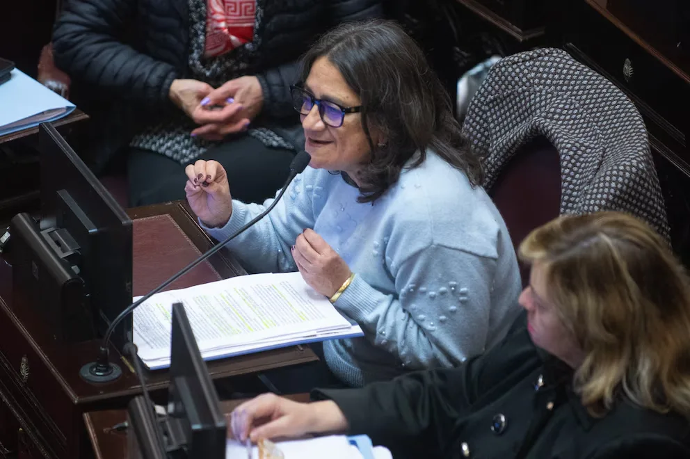 El Senado sancionó la declaración de emergencia en pediatría por un año: el rol de Corpacci y Andrada por Catamarca
