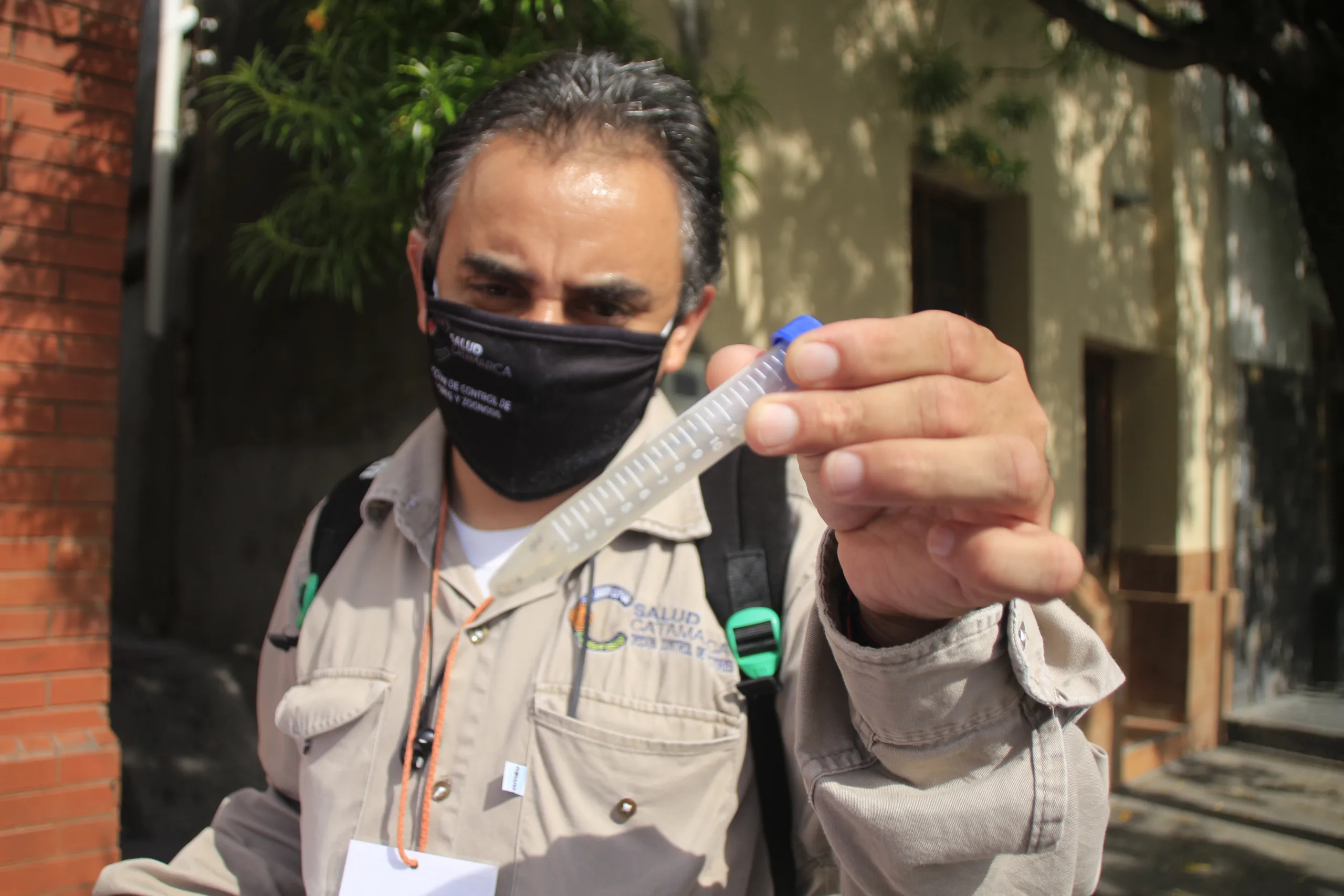 Catamarca: este es el cronograma semanal de Control focal por el Dengue