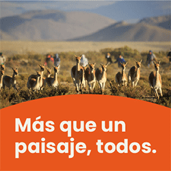 Publicidad 1