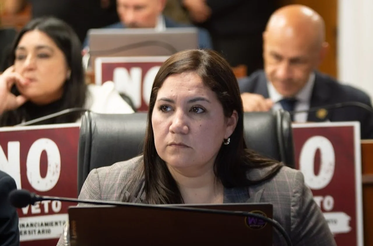 Catamarca: la diputada provincial Silvana Carrizo, presentó iniciativas legislativas vinculadas a la educación