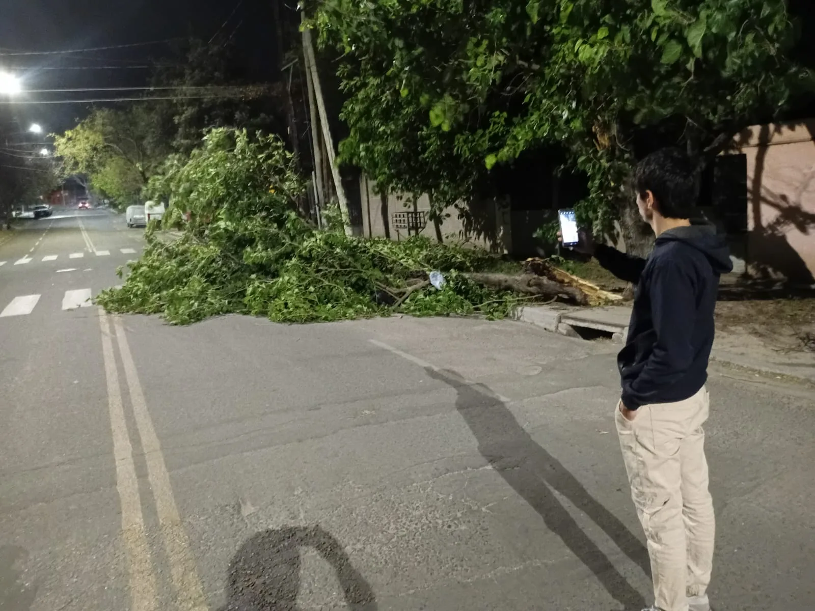 Catamarca azotada por los fuertes vientos que provocaron destrozos en viviendas, con caída de postes y de árboles