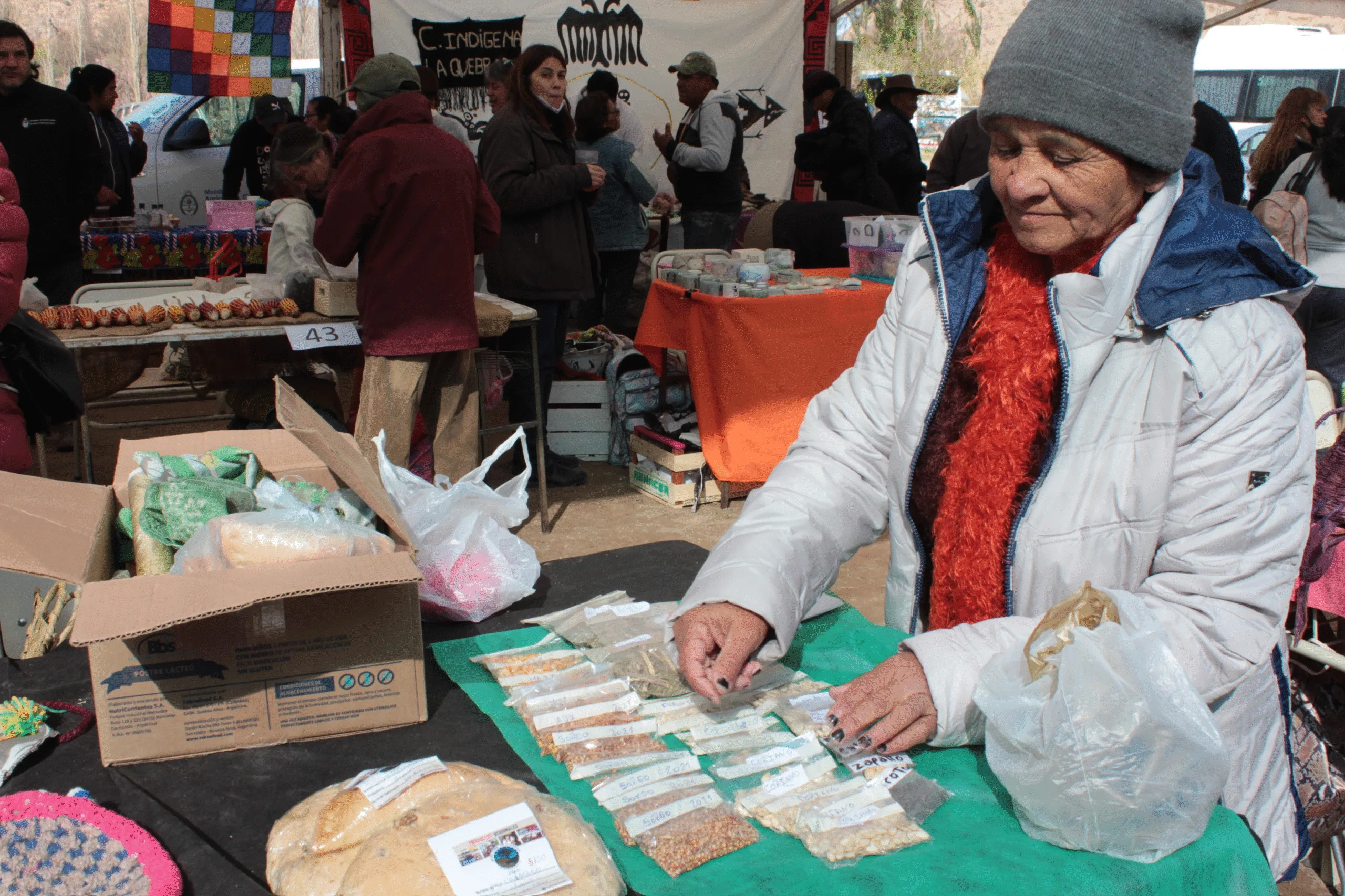 Catamarca: se viene la 23ª Feria Provincial de intercambio de Semillas Nativas y Criollas