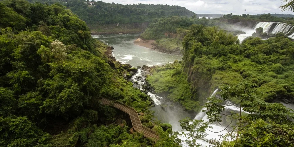 Descubren en el Parque Nacional Iguazú evidencia de una civilización que se remonta a 6.000 años de antigüedad