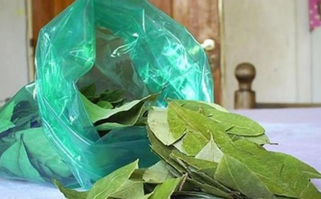 Se consume en Catamarca: a cuánto se vende la hoja de coca en Salta