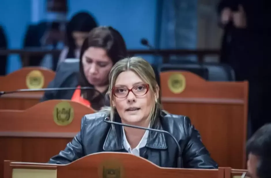 Catamarca: la diputada Alicia Paz de la Quinta solicitó un informe a AGAP por el cálculo del haber testigo