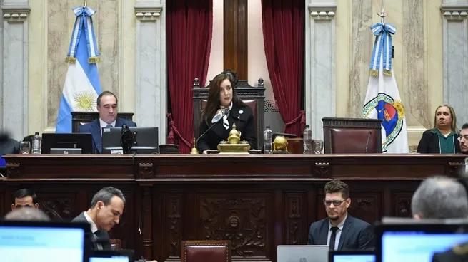 El Senado abre hoy jueves un nuevo round contra los vetos de Javier Milei: buscan recuperar la distribución de los ATN