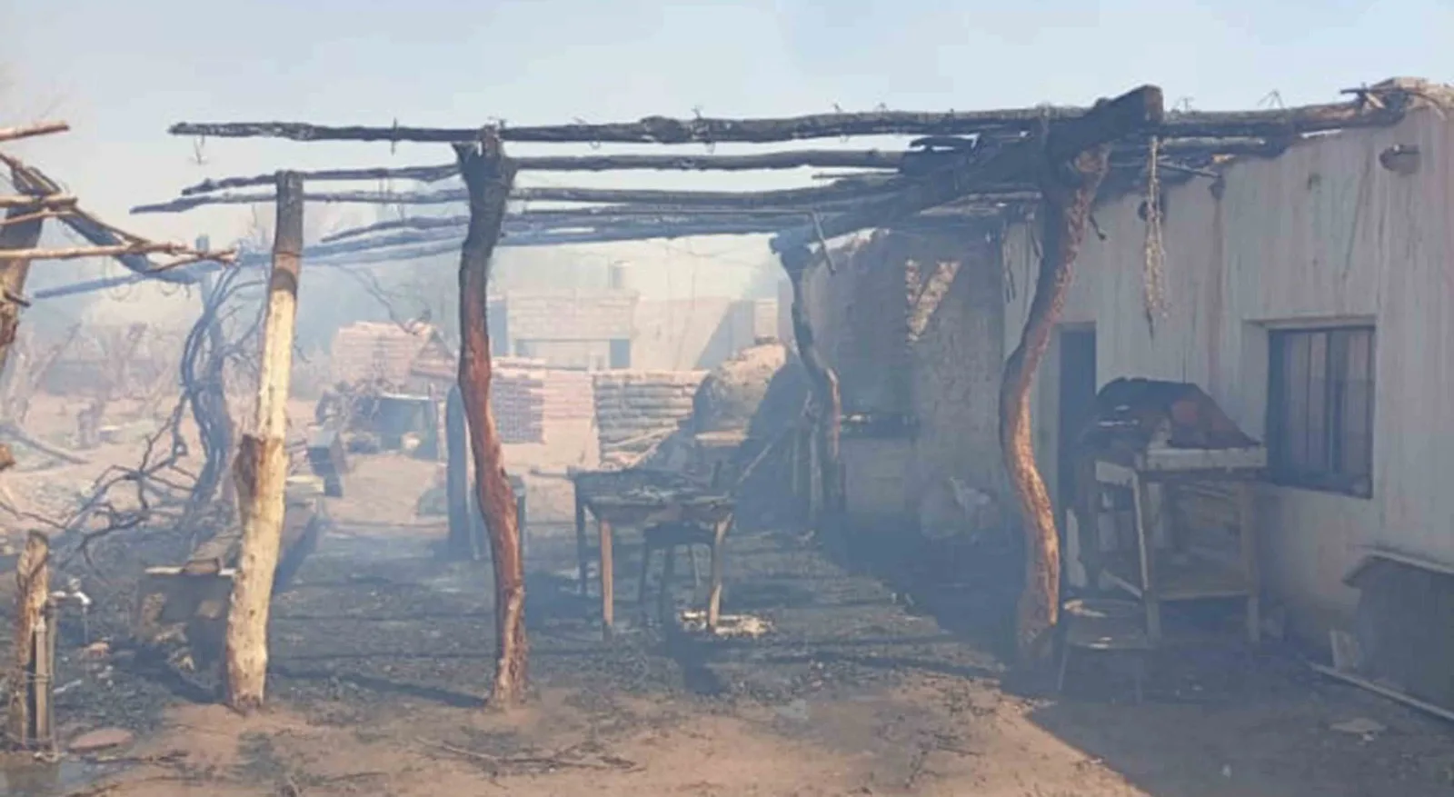 El viento zonda propagó un voraz incendio que afectó viñedos y vivienda en Fiambalá