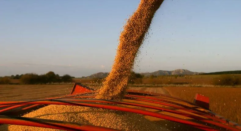 El Gobierno elimina retenciones a los granos hasta el 31 de octubre