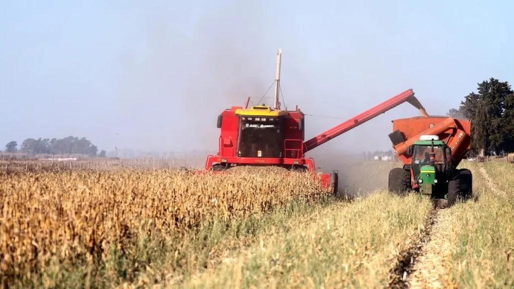 Cómo funcionará la eliminación temporal de retenciones al agro: plazos, productos y condiciones