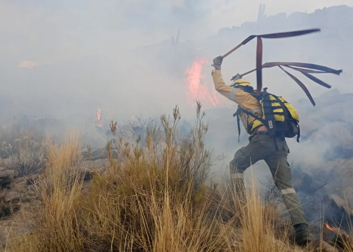 Catamarca: brigadistas intervienen en incendio forestal en San Antonio del Cajón