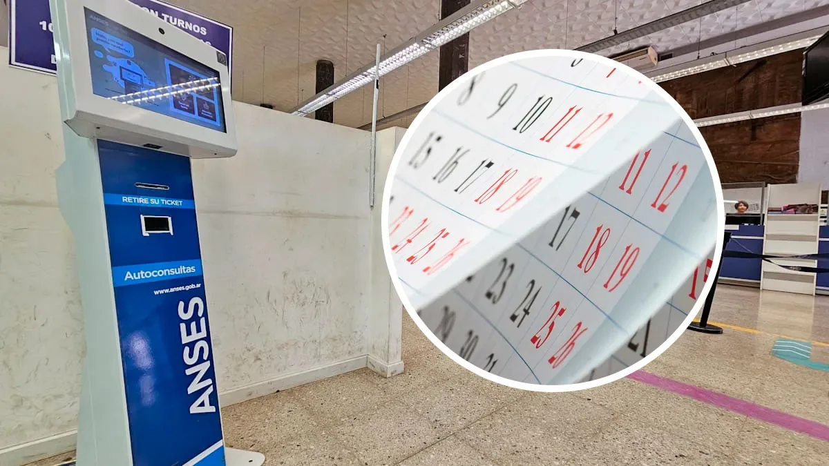 ANSES: quienes cobran hoy viernes 31 de octubre