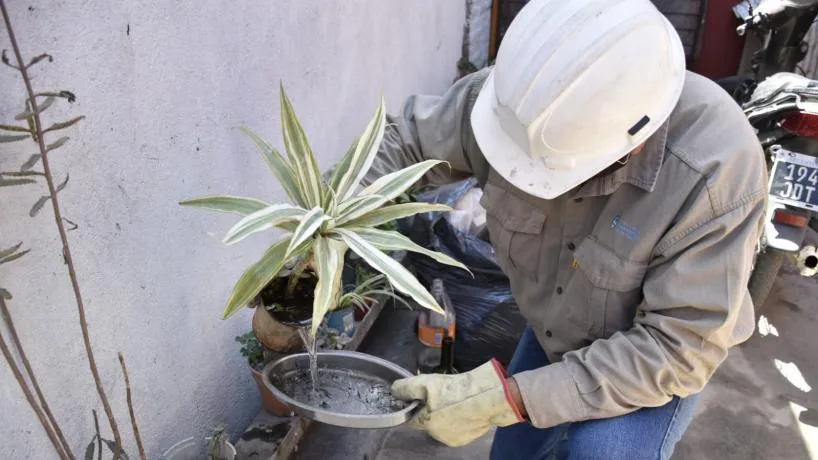 Hoy lunes en Catamarca continúa el Control Focal semanal por Dengue