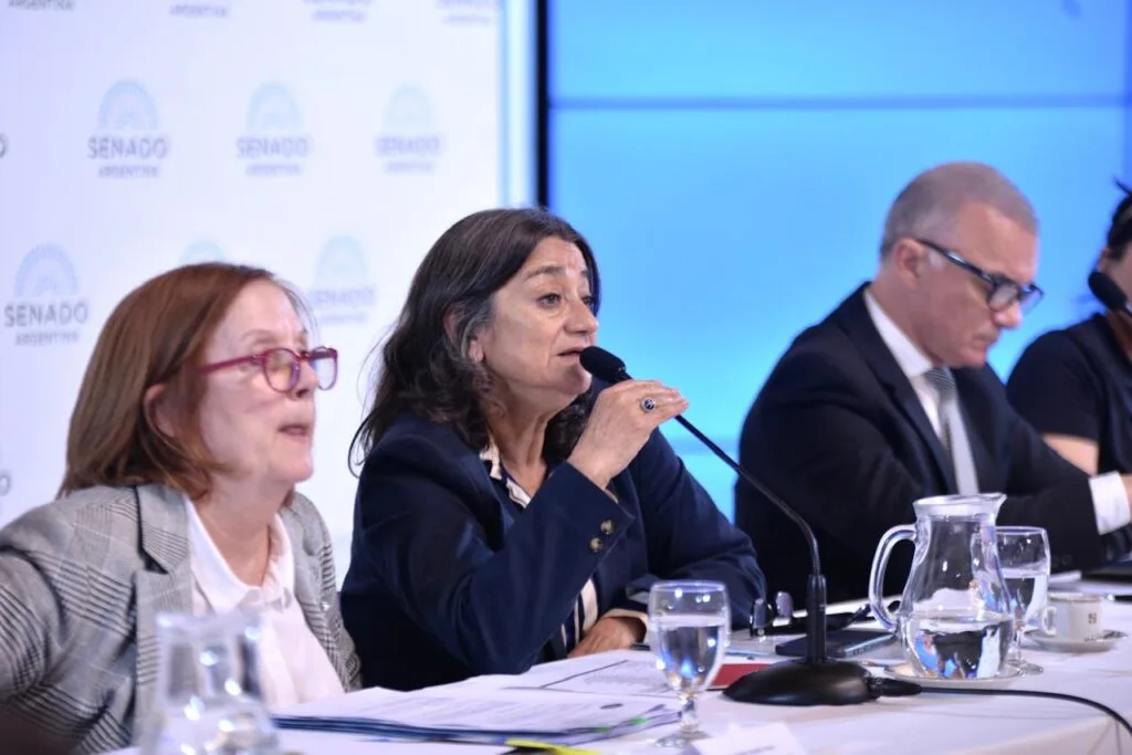 La senadora Lucía Corpacci reclamó la presencia del ministro de Salud por la crisis del fentanilo