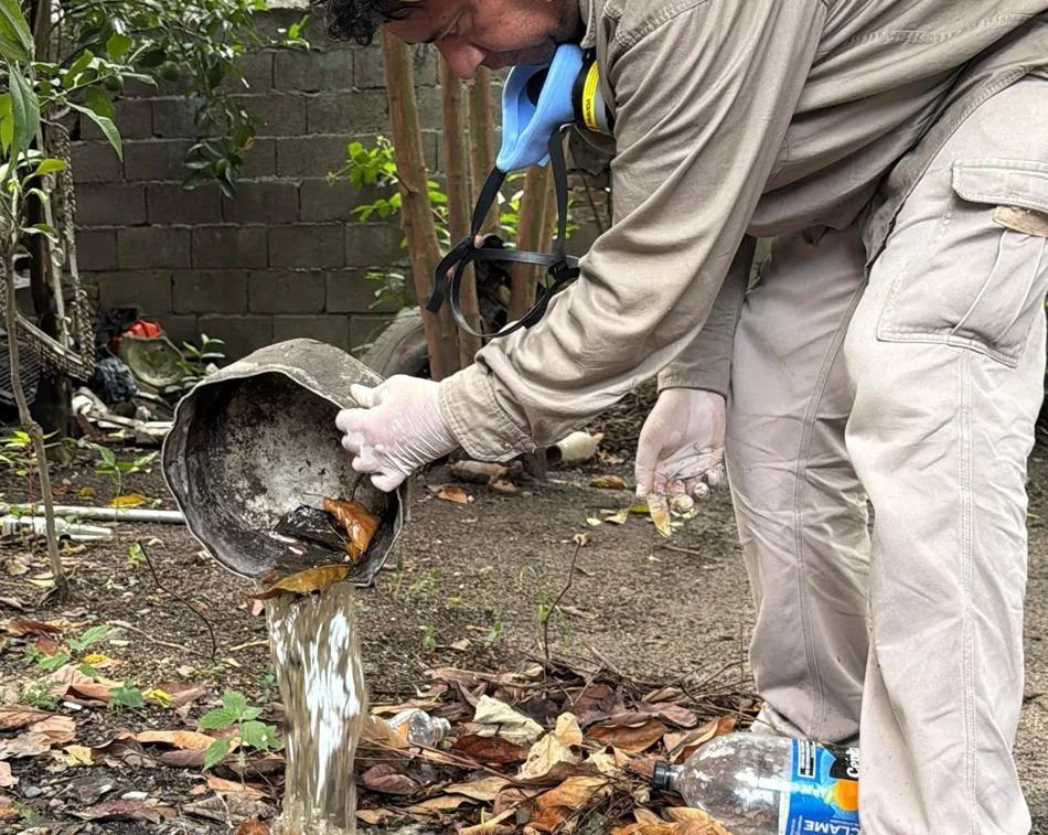 Control focal por Dengue en Catamarca: cronograma semanal