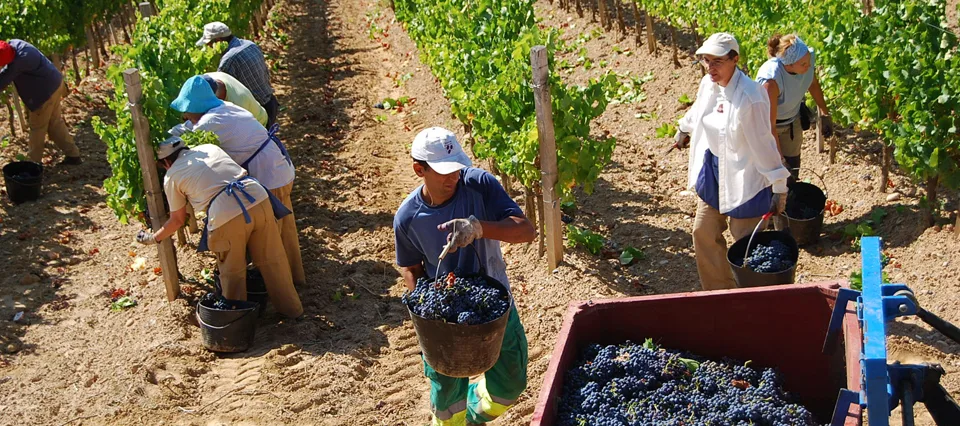 Catamarca otorga beneficios fiscales en respaldo al desarrollo provincial