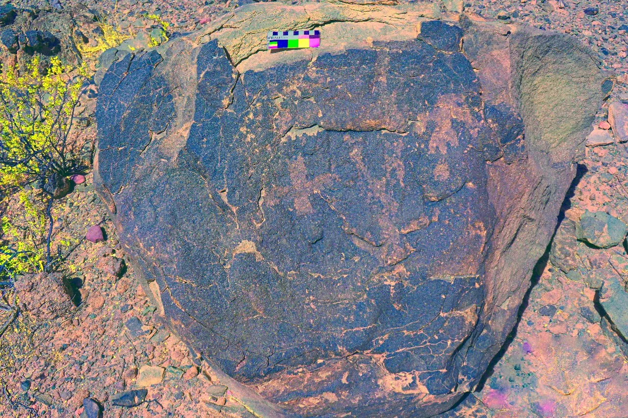 Catamarca: descubren un campo de petroglifos en Santa Rosa (Tinogasta)