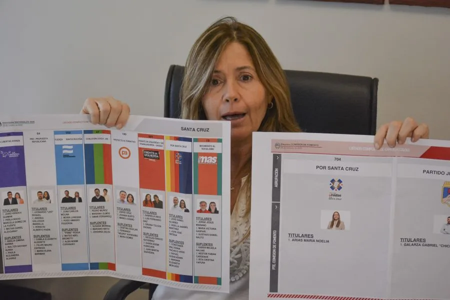 Voto con la Boleta Única de Papel: cuándo se considera en blanco, nulo e impugnado  