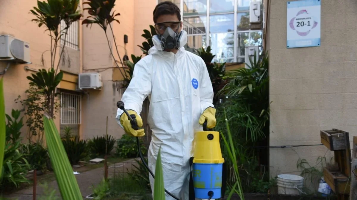 Alarma en Santa Fe: ya detectaron mosquitos del dengue en todo Rosario y apuntan a retrasar los contagios