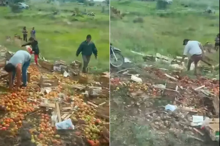 Volcó un camión que transportaba verduras y vecinos se llevaron la carga
